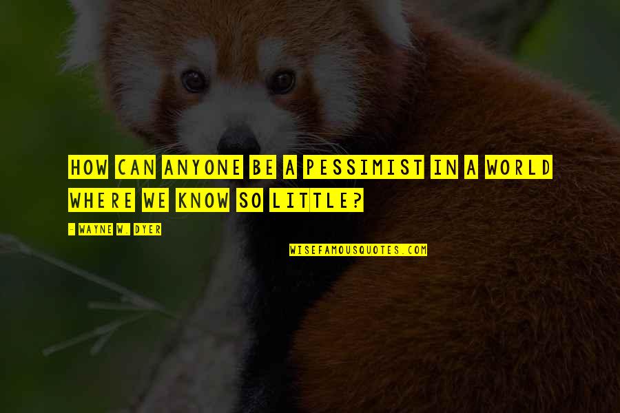 Amicks Superstore Quotes By Wayne W. Dyer: How can anyone be a pessimist in a