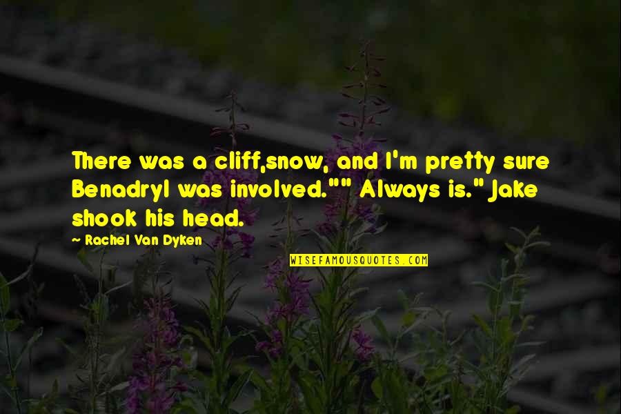 Amiel Journal Quotes By Rachel Van Dyken: There was a cliff,snow, and I'm pretty sure