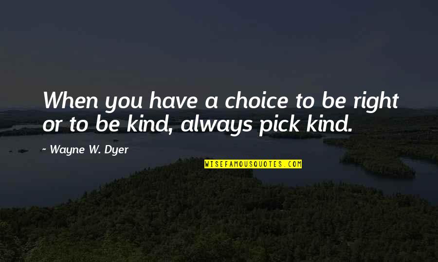 Amiira Video Quotes By Wayne W. Dyer: When you have a choice to be right