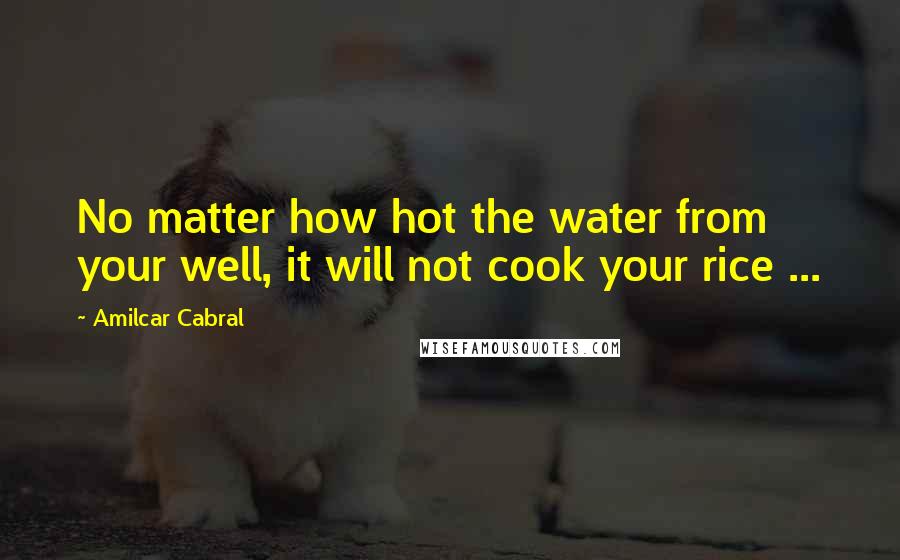 Amilcar Cabral quotes: No matter how hot the water from your well, it will not cook your rice ...