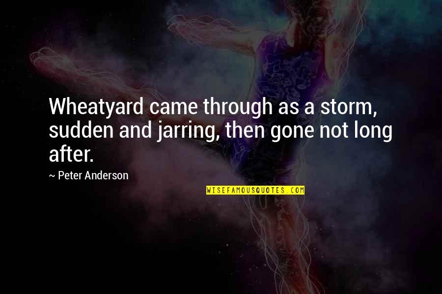 Aminata Sow Quotes By Peter Anderson: Wheatyard came through as a storm, sudden and