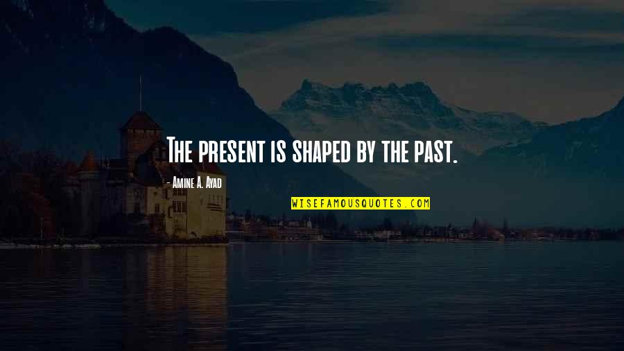 Amine Quotes By Amine A. Ayad: The present is shaped by the past.