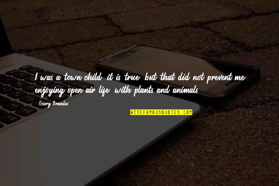 Aminosalicylates Quotes By Georg Brandes: I was a town child, it is true, Aminosalicylates Quotes By Georg Brandes: I was a town child, it is true,