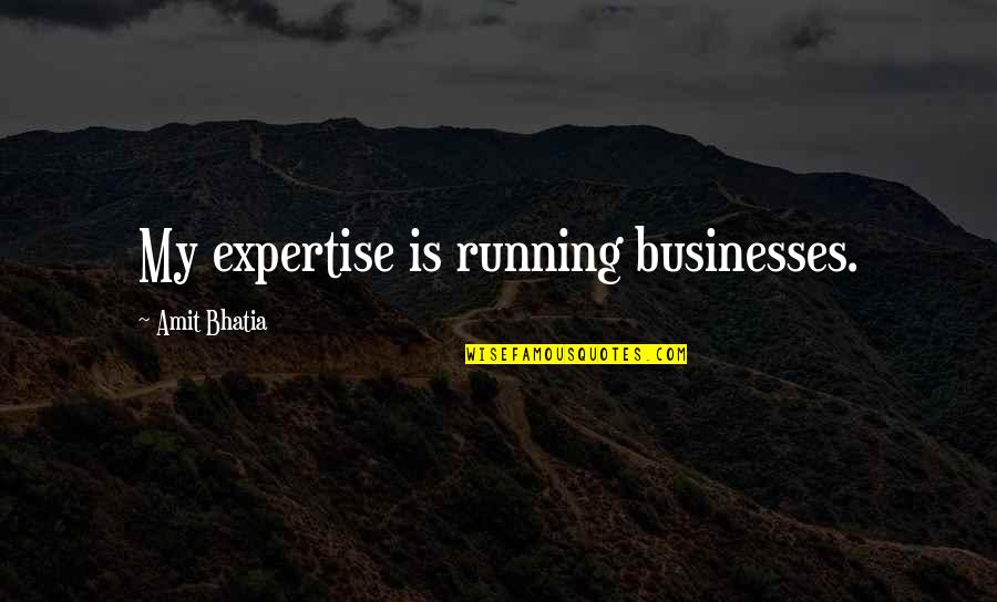 Amintore Fanfani Quotes By Amit Bhatia: My expertise is running businesses.