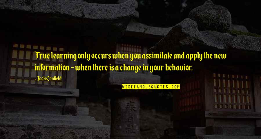 Amir Baig Quotes By Jack Canfield: True learning only occurs when you assimilate and Amir Baig Quotes By Jack Canfield: True learning only occurs when you assimilate and