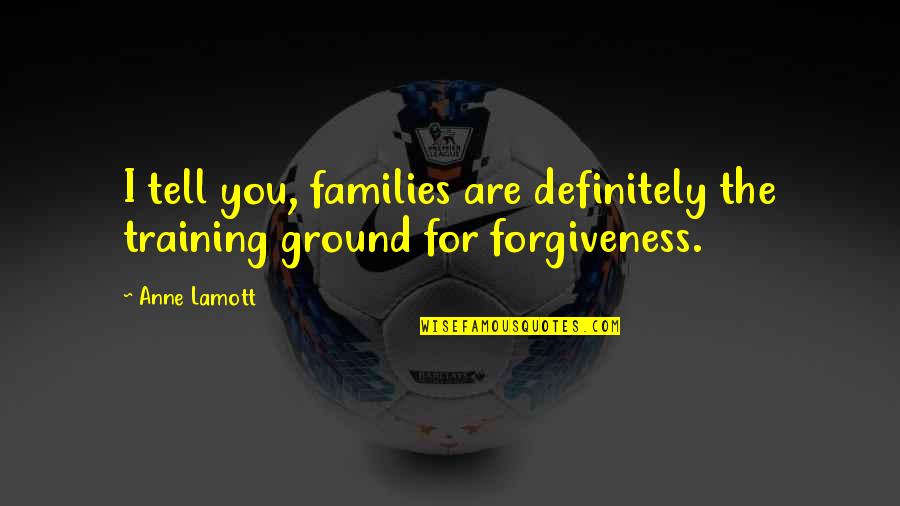 Amira Hass Quotes By Anne Lamott: I tell you, families are definitely the training