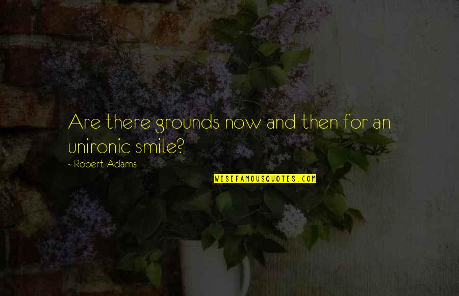 Amiram Levinberg Quotes By Robert Adams: Are there grounds now and then for an Amiram Levinberg Quotes By Robert Adams: Are there grounds now and then for an