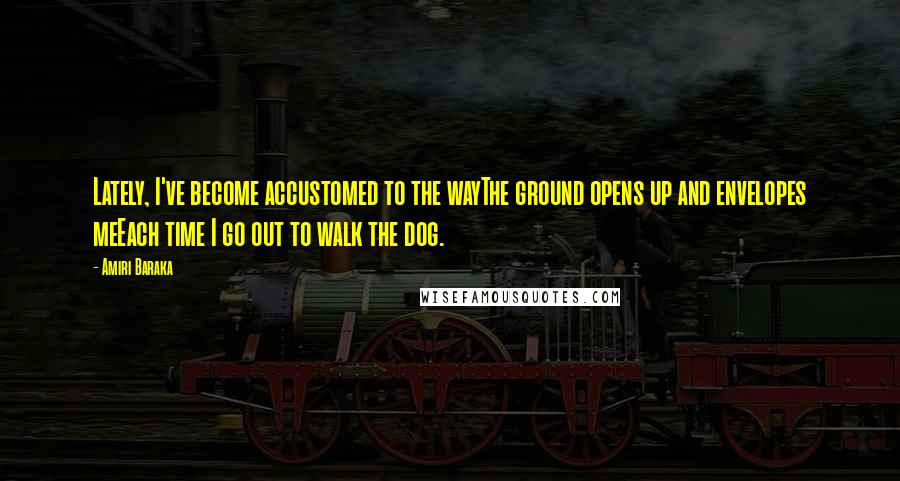 Amiri Baraka quotes: Lately, I've become accustomed to the wayThe ground opens up and envelopes meEach time I go out to walk the dog.