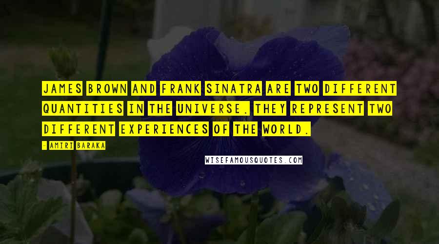 Amiri Baraka quotes: James Brown and Frank Sinatra are two different quantities in the universe. They represent two different experiences of the world.