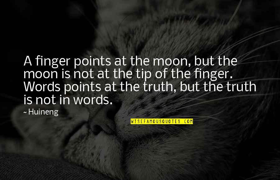 Amir's Quotes By Huineng: A finger points at the moon, but the