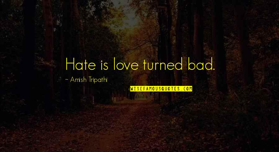 Amish Love Quotes By Amish Tripathi: Hate is love turned bad.