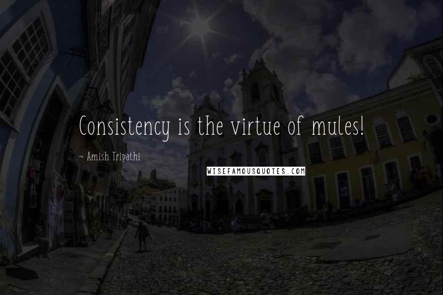 Amish Tripathi quotes: Consistency is the virtue of mules!