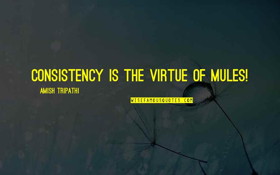 Amish Tripathi Quotes By Amish Tripathi: Consistency is the virtue of mules! Amish Tripathi Quotes By Amish Tripathi: Consistency is the virtue of mules!