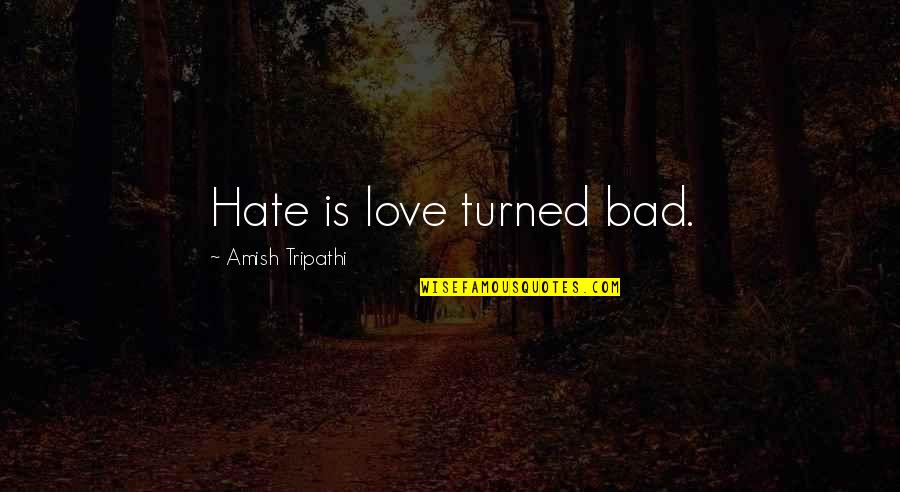 Amish Tripathi Quotes By Amish Tripathi: Hate is love turned bad. Amish Tripathi Quotes By Amish Tripathi: Hate is love turned bad.
