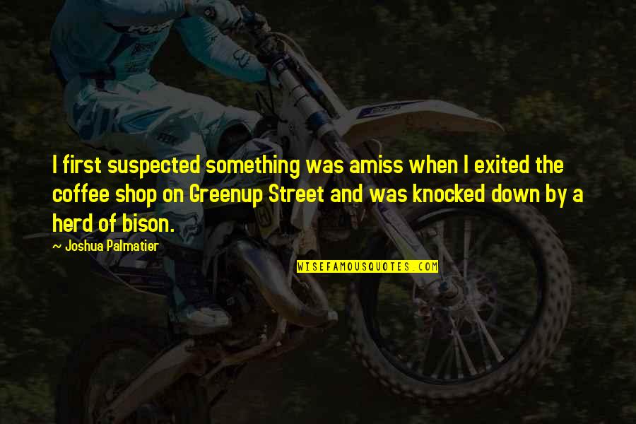 Amiss Quotes By Joshua Palmatier: I first suspected something was amiss when I