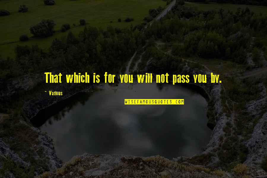 Amissah Immanuel Quotes By Various: That which is for you will not pass
