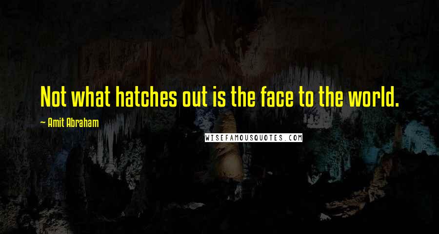 Amit Abraham quotes: Not what hatches out is the face to the world.