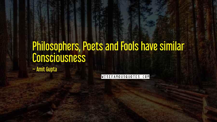 Amit Gupta quotes: Philosophers, Poets and Fools have similar Consciousness