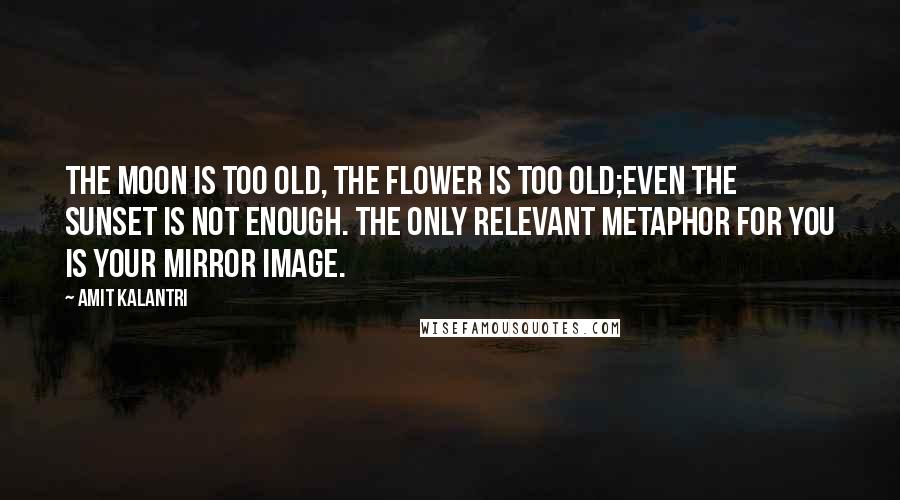 Amit Kalantri quotes: The moon is too old, the flower is too old;even the sunset is not enough. The only relevant metaphor for you is your mirror image.