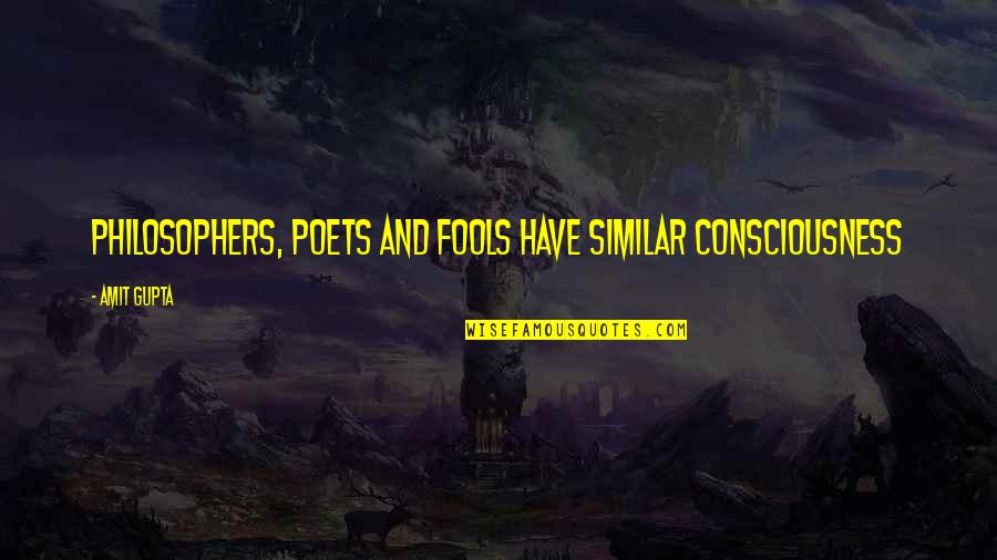 Amit Quotes By Amit Gupta: Philosophers, Poets and Fools have similar Consciousness