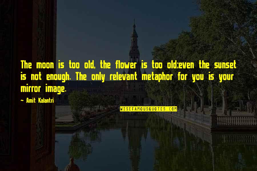 Amit Quotes By Amit Kalantri: The moon is too old, the flower is