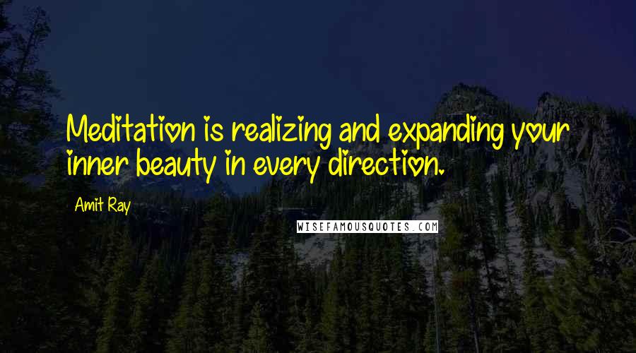 Amit Ray quotes: Meditation is realizing and expanding your inner beauty in every direction.