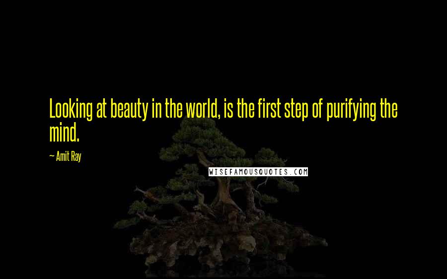Amit Ray quotes: Looking at beauty in the world, is the first step of purifying the mind.