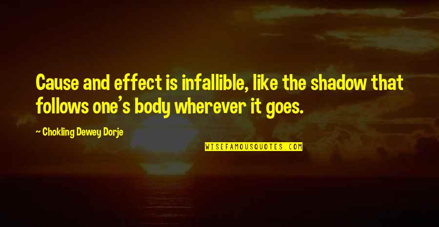 Amita Ramanujan Quotes By Chokling Dewey Dorje: Cause and effect is infallible, like the shadow