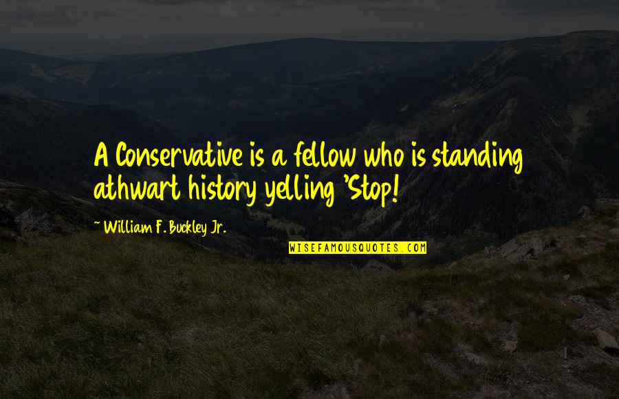 Amlan Negros Quotes By William F. Buckley Jr.: A Conservative is a fellow who is standing