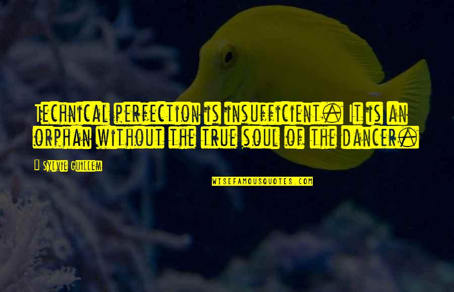 Amlisly Quotes By Sylvie Guillem: Technical perfection is insufficient. It is an orphan