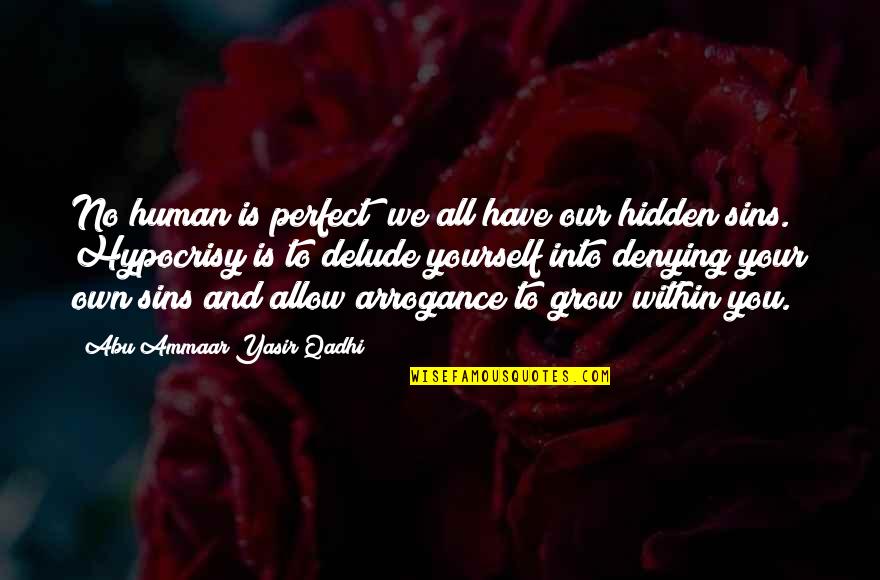 Ammaar Quotes By Abu Ammaar Yasir Qadhi: No human is perfect; we all have our