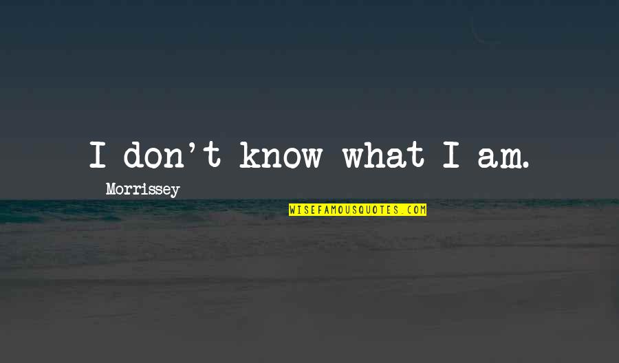 Ammirato Quotes By Morrissey: I don't know what I am.