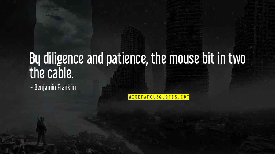 Ammon Mcneely Quotes By Benjamin Franklin: By diligence and patience, the mouse bit in