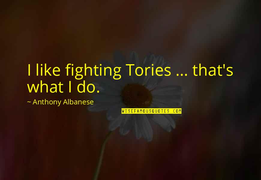 Ammusing Quotes By Anthony Albanese: I like fighting Tories ... that's what I