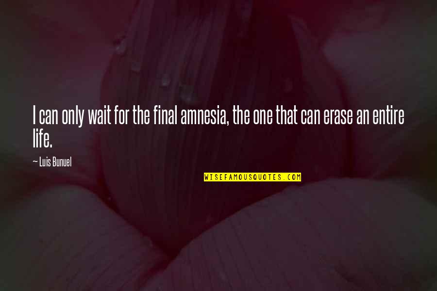Amnesia Quotes By Luis Bunuel: I can only wait for the final amnesia,