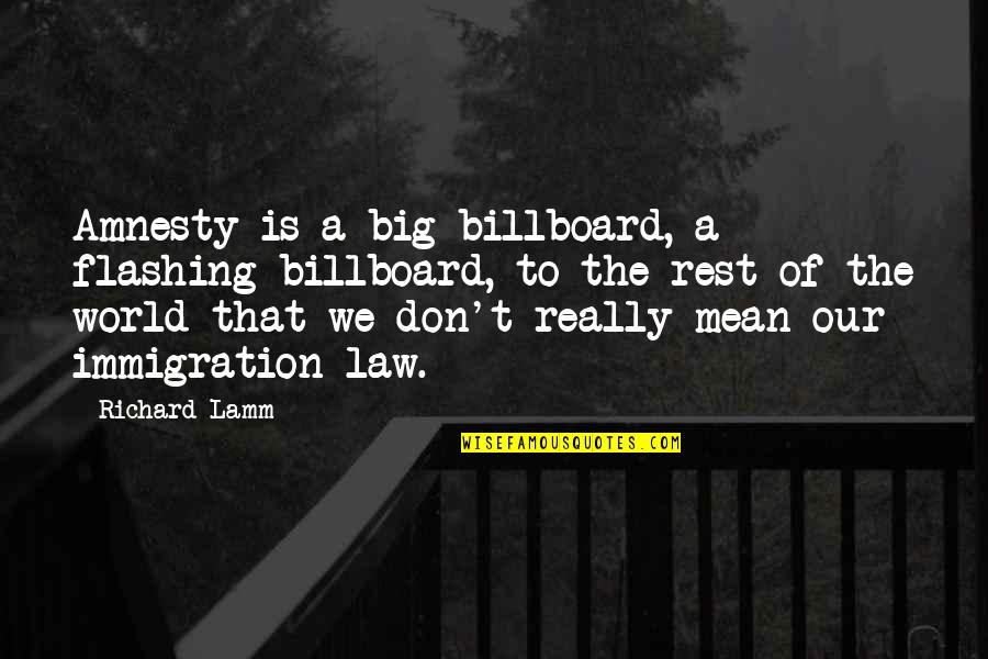 Amnesty's Quotes By Richard Lamm: Amnesty is a big billboard, a flashing billboard,