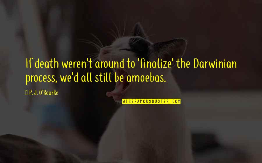 Amoebas Quotes By P. J. O'Rourke: If death weren't around to 'finalize' the Darwinian