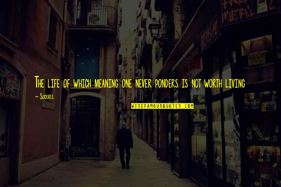 Amor A Quemarropa Quotes By Socrates: The life of which meaning one never ponders