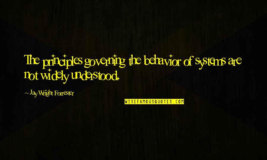 Amor Deliria Nervosa Quotes By Jay Wright Forrester: The principles governing the behavior of systems are