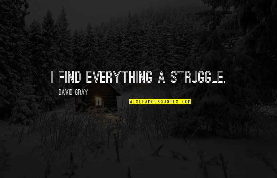 Amor Infinito Quotes By David Gray: I find everything a struggle.