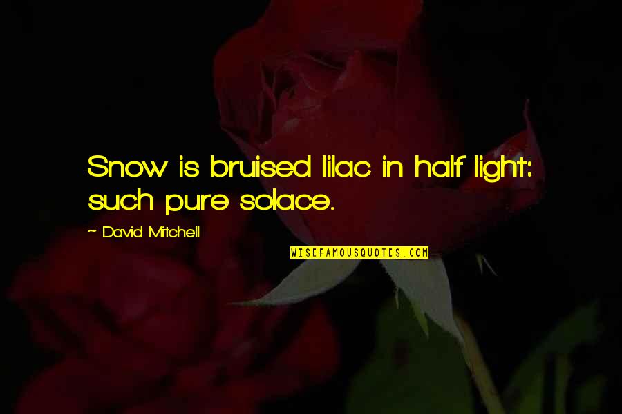 Amor No Existe Quotes By David Mitchell: Snow is bruised lilac in half light: such
