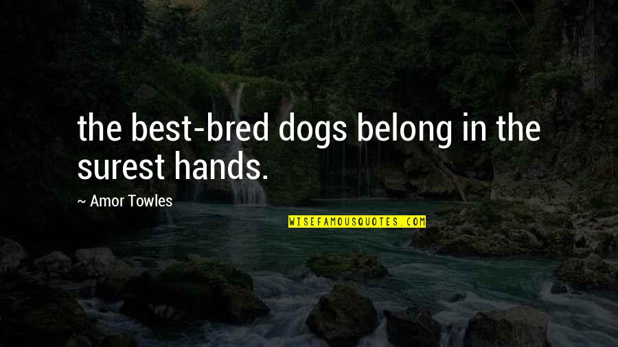 Amor Quotes By Amor Towles: the best-bred dogs belong in the surest hands. Amor Quotes By Amor Towles: the best-bred dogs belong in the surest hands.