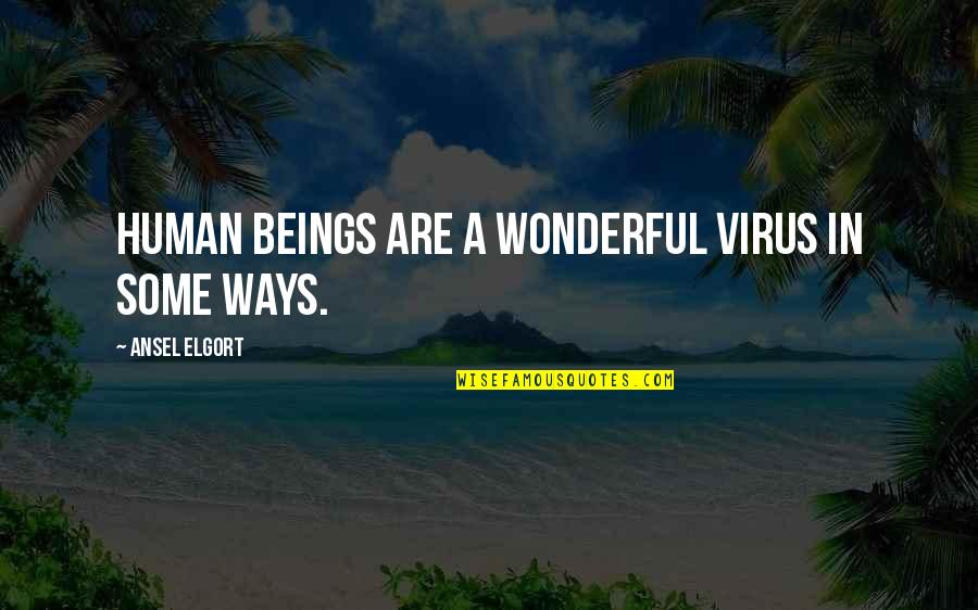 Amorcito Mi Quotes By Ansel Elgort: Human beings are a wonderful virus in some Amorcito Mi Quotes By Ansel Elgort: Human beings are a wonderful virus in some