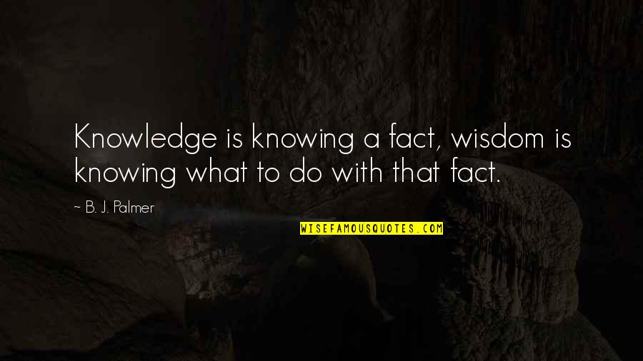Amorosa Apprentice Quotes By B. J. Palmer: Knowledge is knowing a fact, wisdom is knowing