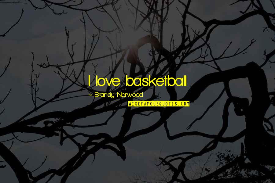 Amorphic Quotes By Brandy Norwood: I love basketball.