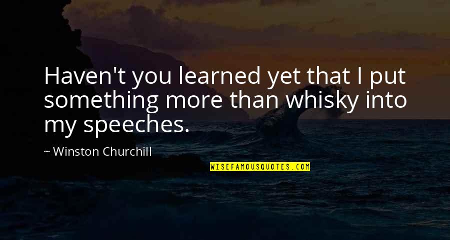 Amorphic Quotes By Winston Churchill: Haven't you learned yet that I put something