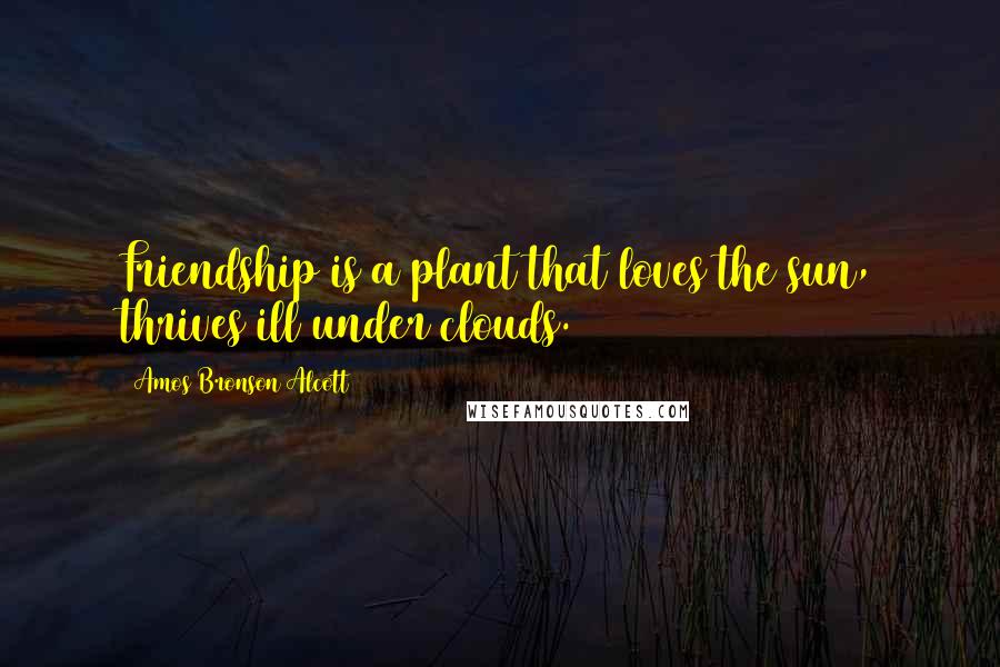 Amos Bronson Alcott quotes: Friendship is a plant that loves the sun, thrives ill under clouds.