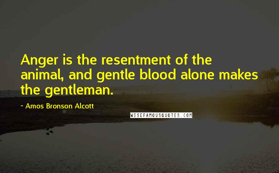 Amos Bronson Alcott quotes: Anger is the resentment of the animal, and gentle blood alone makes the gentleman.