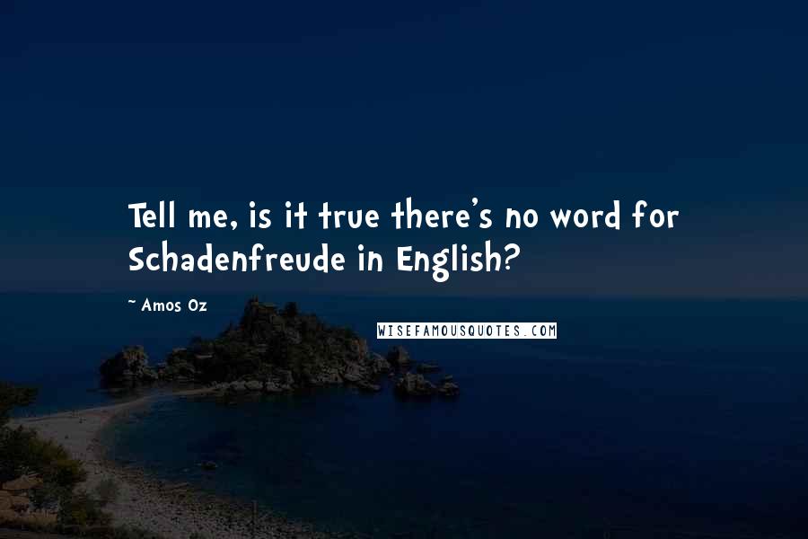 Amos Oz quotes: Tell me, is it true there's no word for Schadenfreude in English?