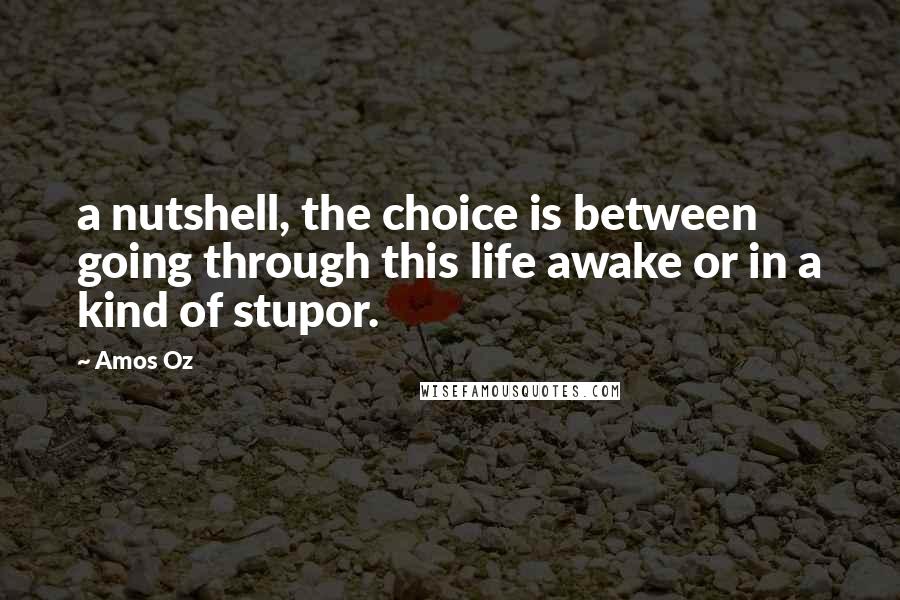 Amos Oz quotes: a nutshell, the choice is between going through this life awake or in a kind of stupor.